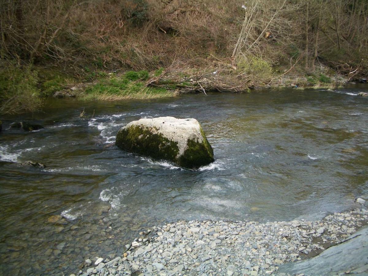 Deer House Machynlleth Exterior foto
